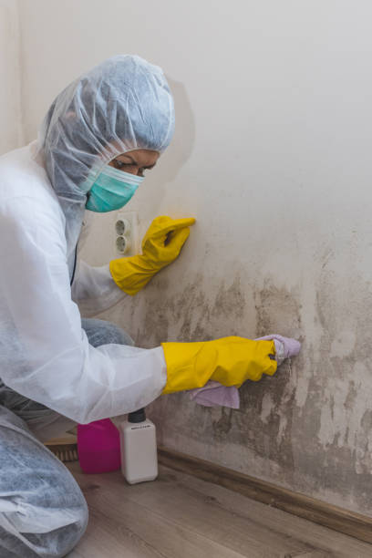 Best Attic Mold Removal  in Newberg, OR