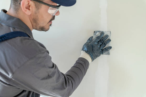 Best Dehumidification Services  in Newberg, OR