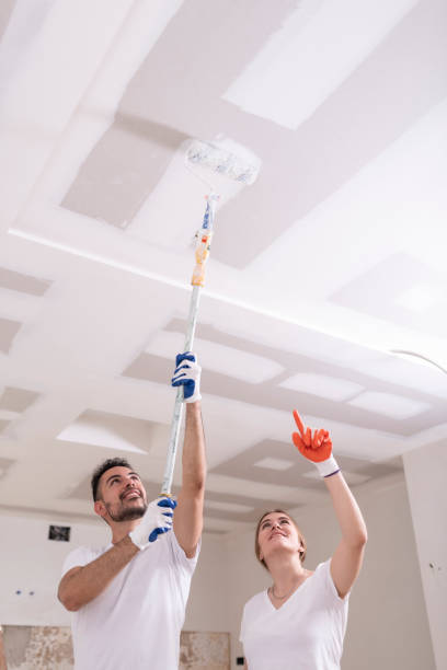 Best Emergency Mold Remediation  in Newberg, OR