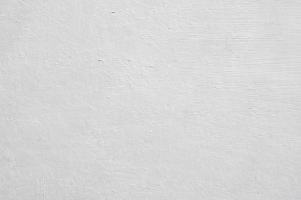 Best Asbestos and Lead Testing During Mold Inspection  in Newberg, OR