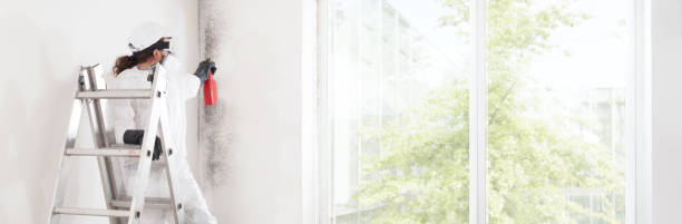 Best Mold Prevention Services  in Newberg, OR